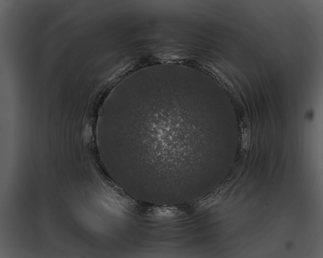 X0000095670618200801151105