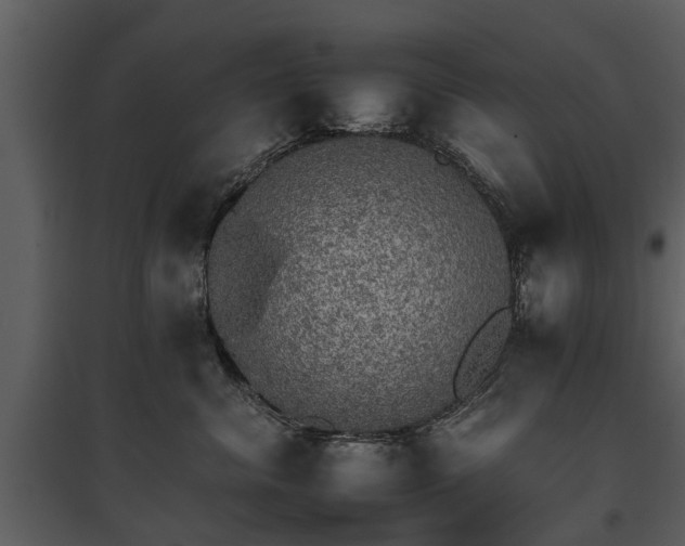 X0000095670620200801151105