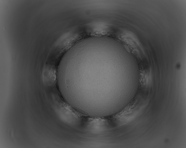 X0000095670621200801151105