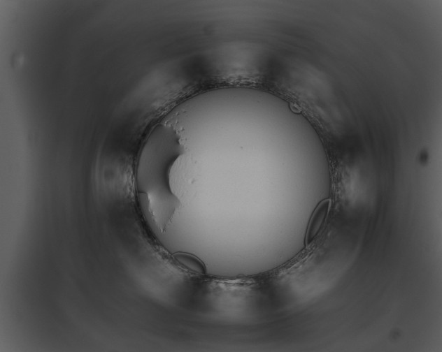 X0000095670622200801151105