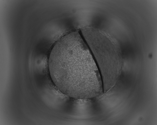 X0000095670623200801151105