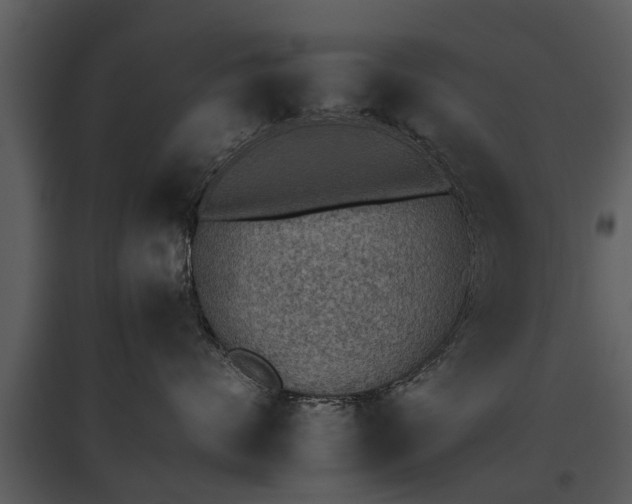 X0000095670624200801151105