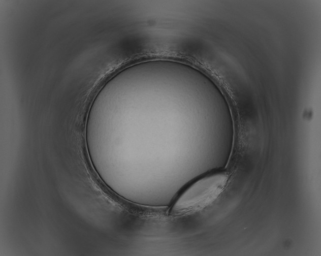 X0000095670625200801151104