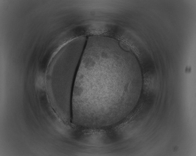 X0000095670626200801151104