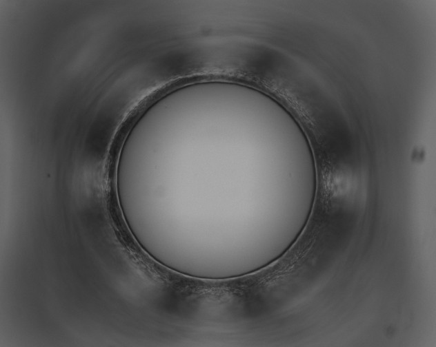 X0000095670628200801151104