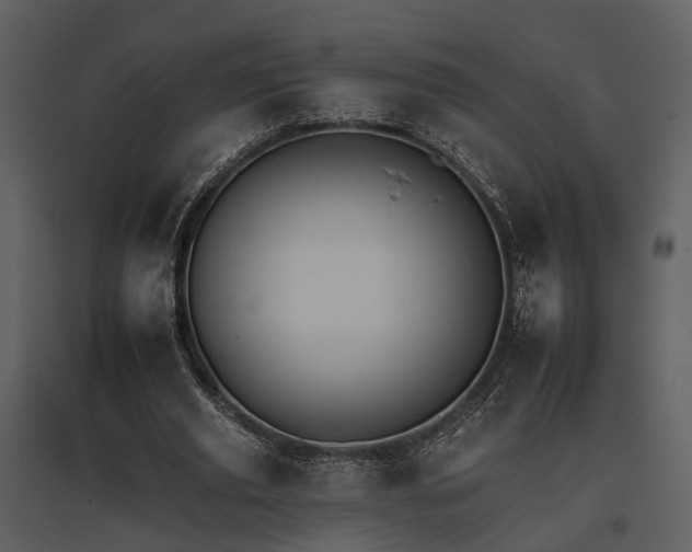 X0000095670629200801151104