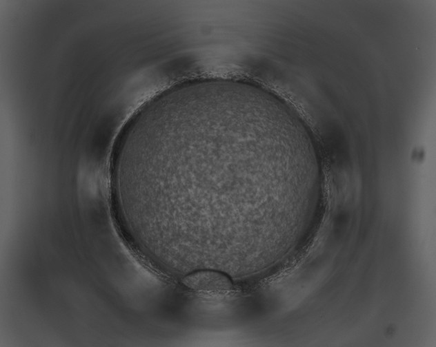 X0000095670630200801151104