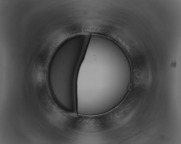 X0000095670631200801151104