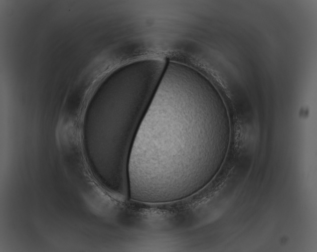 X0000095670633200801151105