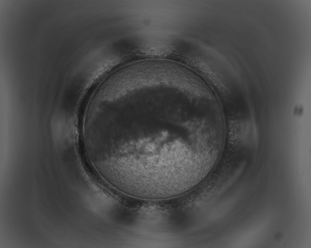 X0000095670634200801151105