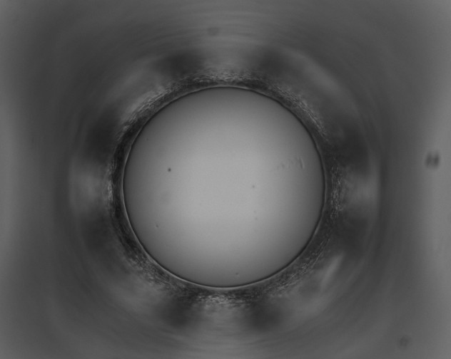 X0000095670635200801151105