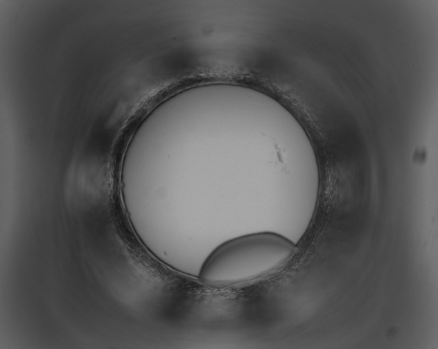 X0000095670636200801151105