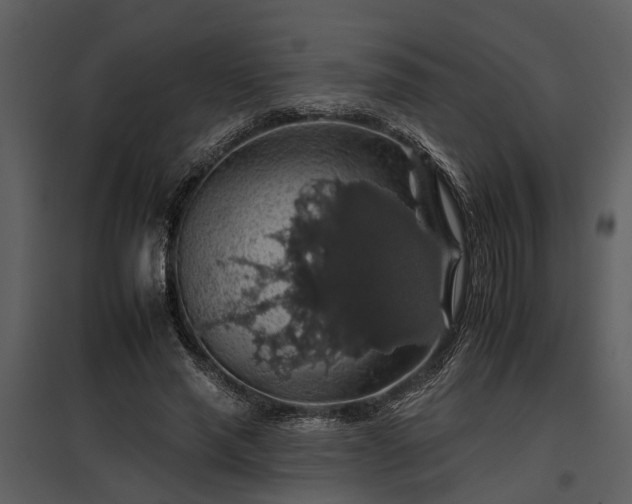 X0000095670637200801151105