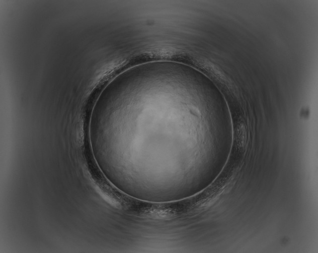 X0000095670638200801151105