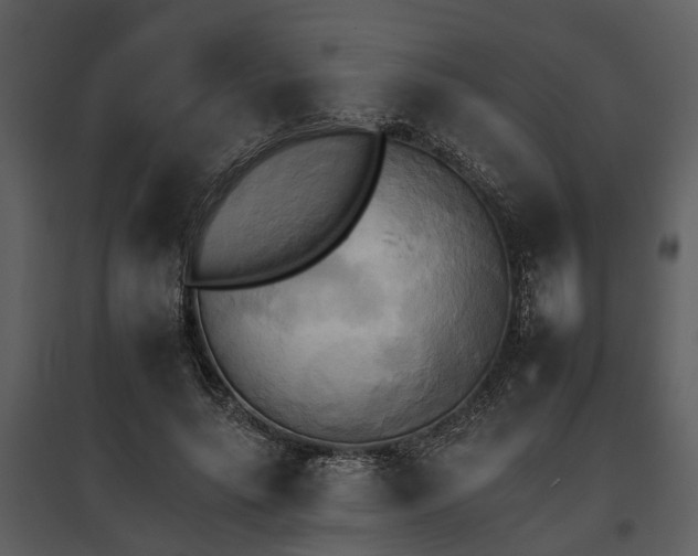 X0000095670639200801151105