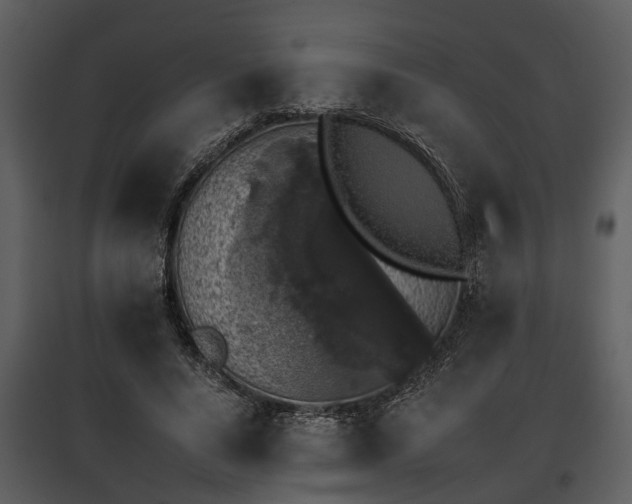 X0000095670640200801151105