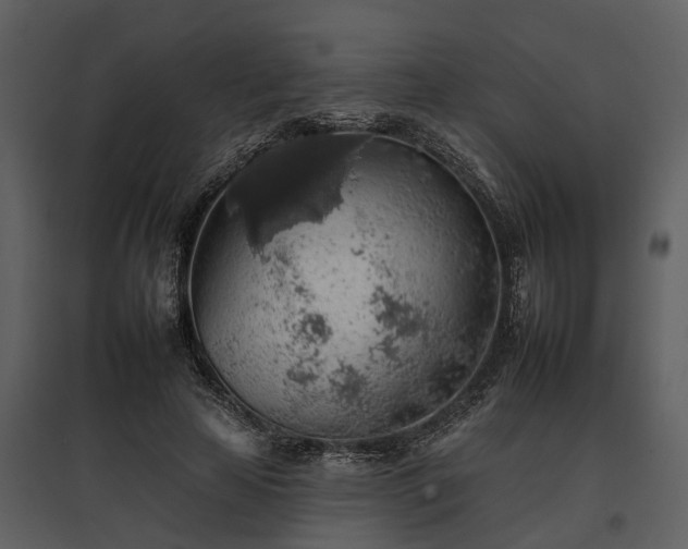 X0000095670641200801151105