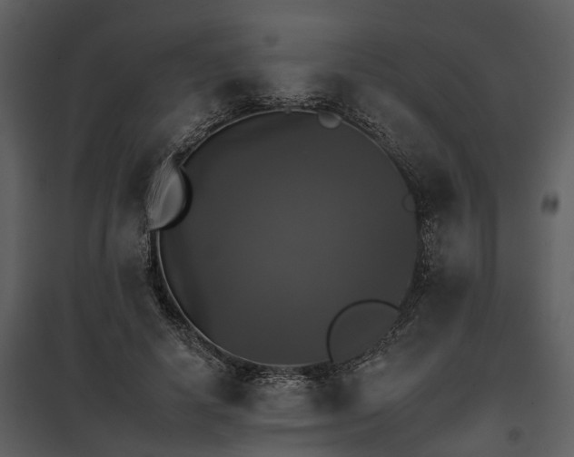 X0000095670642200801151105