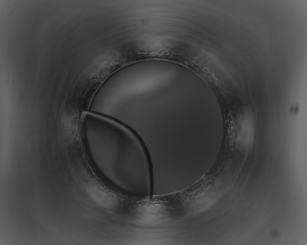 X0000095670643200801151105