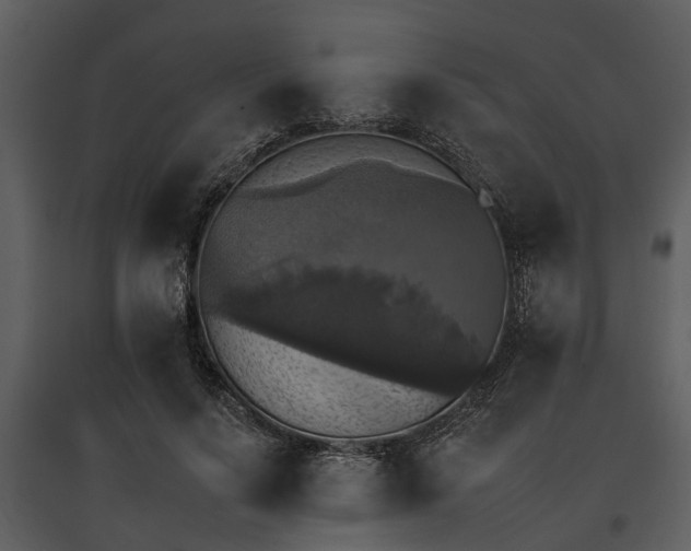 X0000095670644200801151105