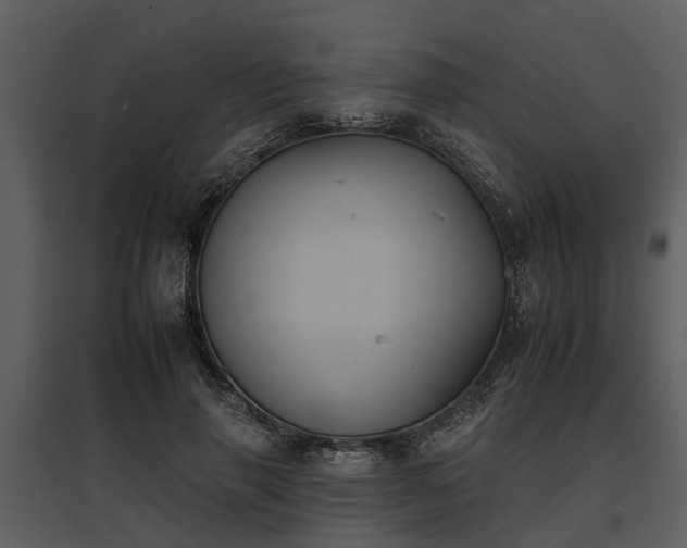 X0000095670645200801151105