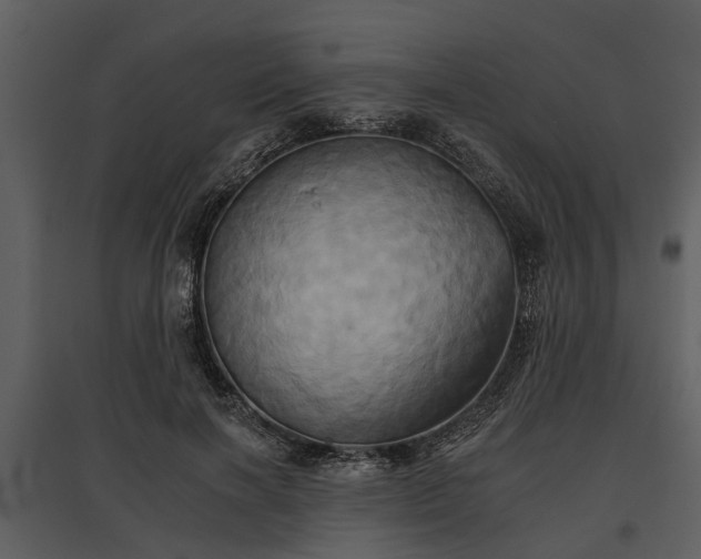 X0000095670646200801151105