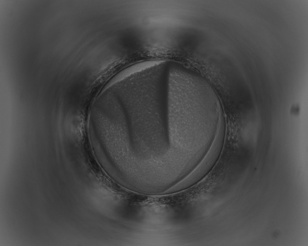 X0000095670648200801151105