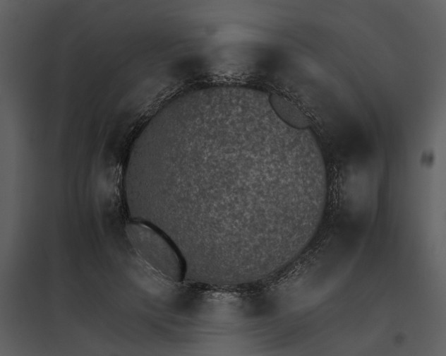 X0000095670649200801151105