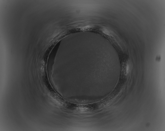 X0000095670650200801151105