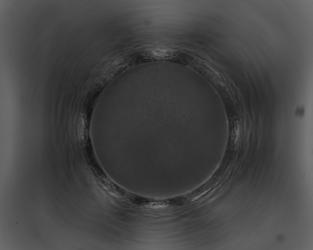 X0000095670651200801151105