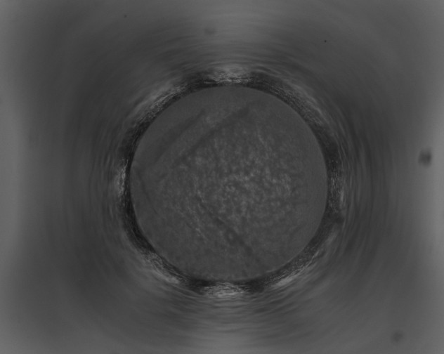 X0000095670652200801151105