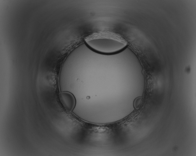 X0000095670654200801151105