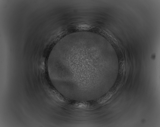 X0000095670655200801151105