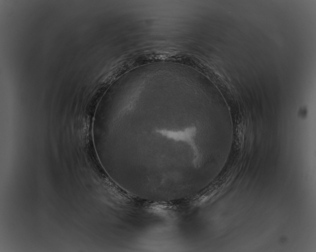 X0000095670657200801151105