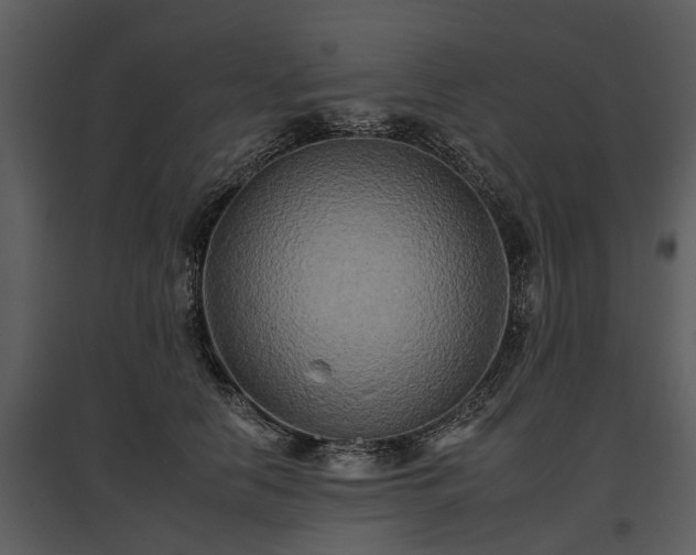 X0000095670658200801151105