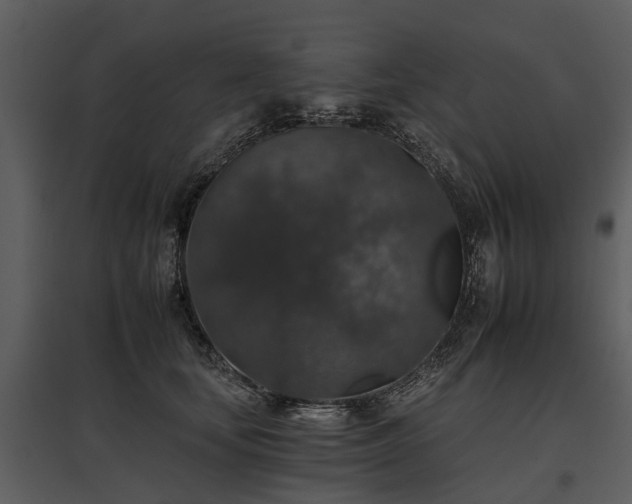 X0000095670659200801151105