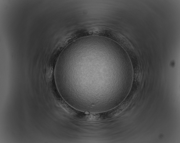 X0000095670660200801151105