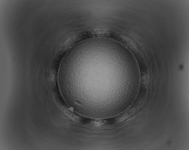 X0000095670662200801151105