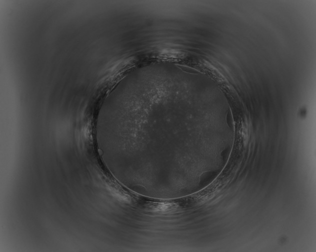 X0000095670663200801151105