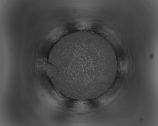 X0000095670664200801151105