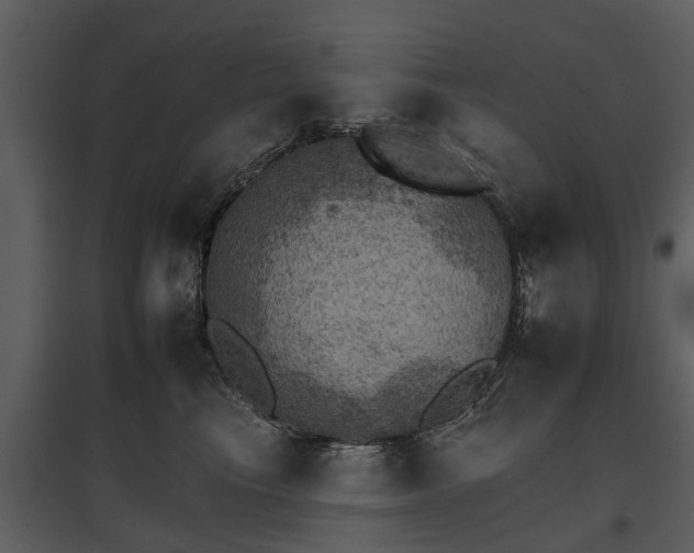 X0000095670665200801151105