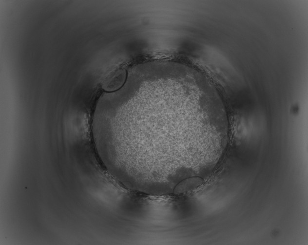 X0000095670667200801151105