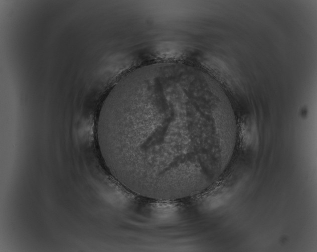 X0000095670668200801151105