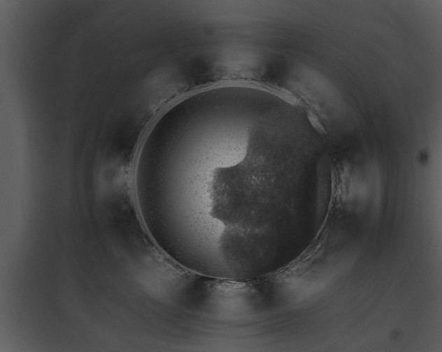 X0000095670669200801151105