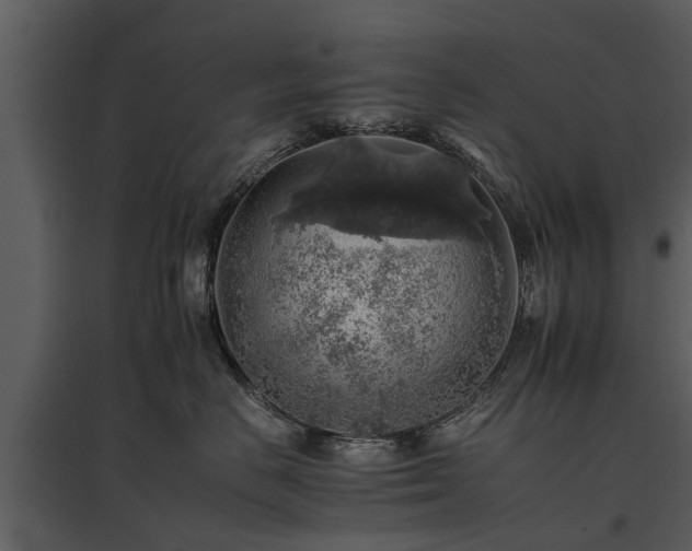 X0000095670670200801151105