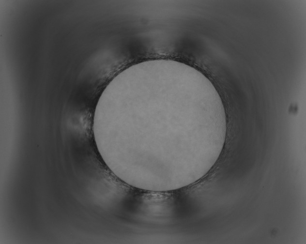 X0000095670672200801151105