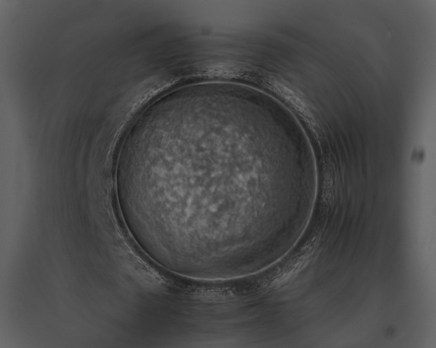 X0000095670673200801151104