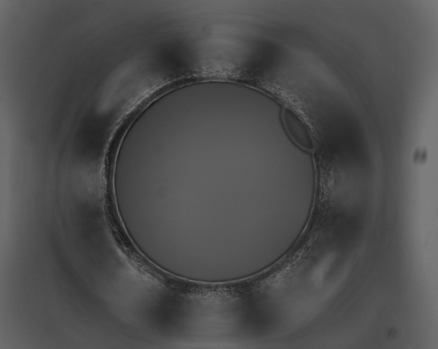 X0000095670674200801151104