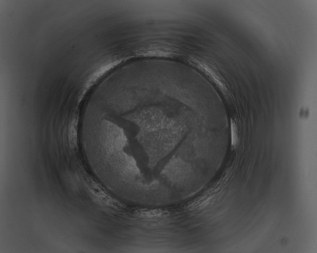 X0000095670675200801151104