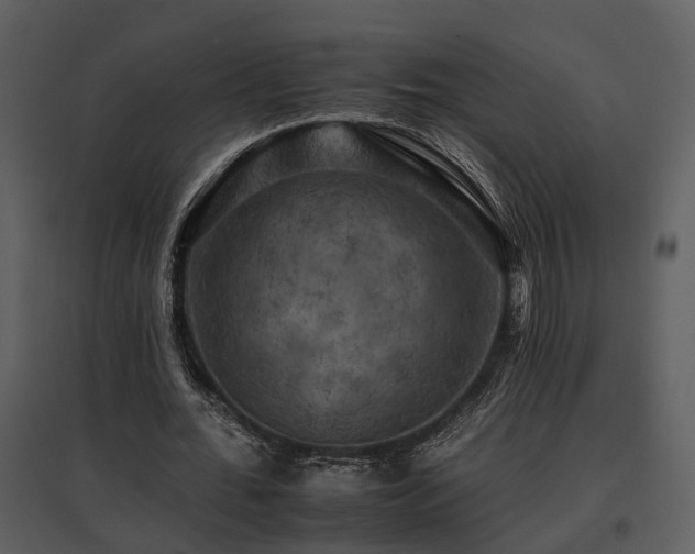 X0000095670676200801151104